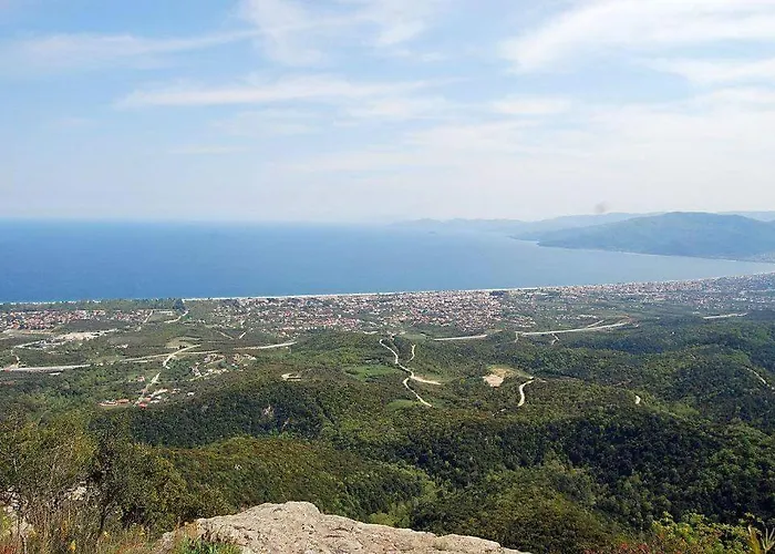 Prime Luxury Front *